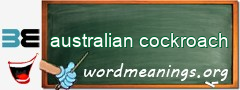 WordMeaning blackboard for australian cockroach